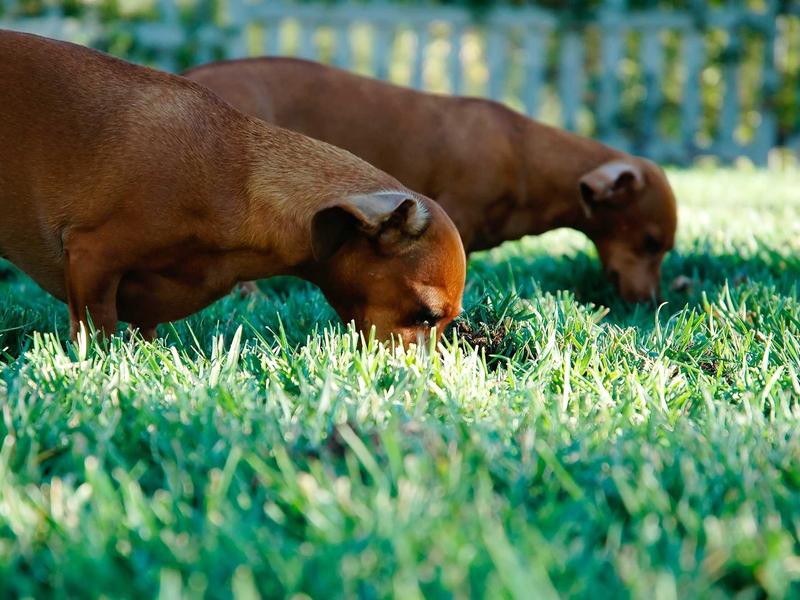 sudoku easy screenshot 4